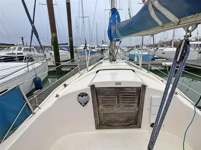 Hallberg Rassy 26