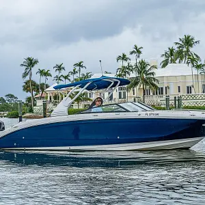 2018 Sea Ray SDX 290 Outboard