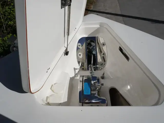 Sea Pro 259 Center Console