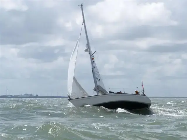 Dehler 31 Top Nova