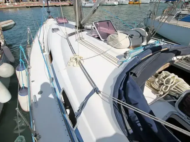 Bavaria 42 Cruiser