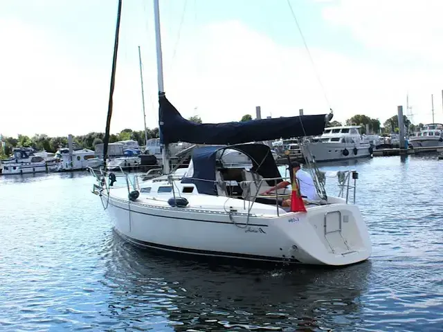 Hanse 301