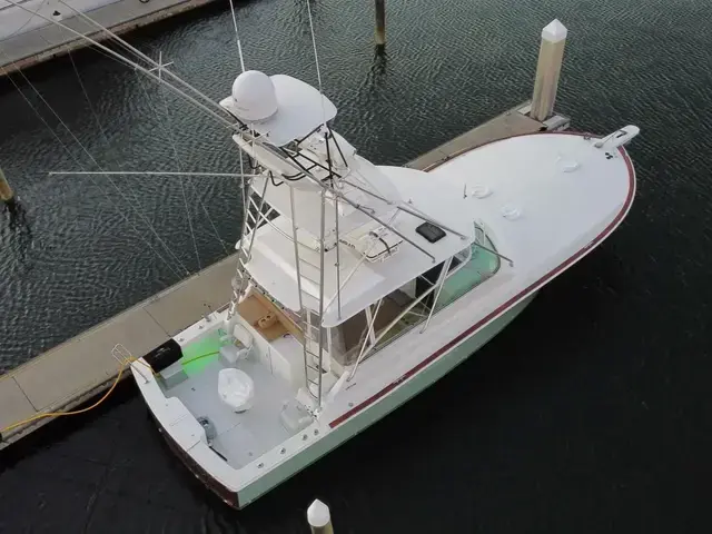 Viking 43 Open