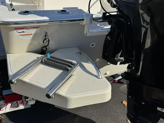 Boston Whaler 170 Montauk