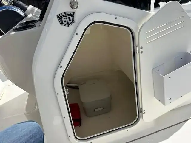 Boston Whaler 210 Montauk