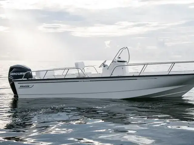 Boston Whaler 210 Montauk