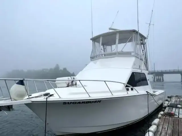 Cabo 35 Flybridge