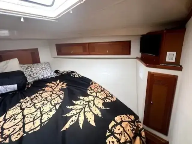 Cabo 35 Flybridge