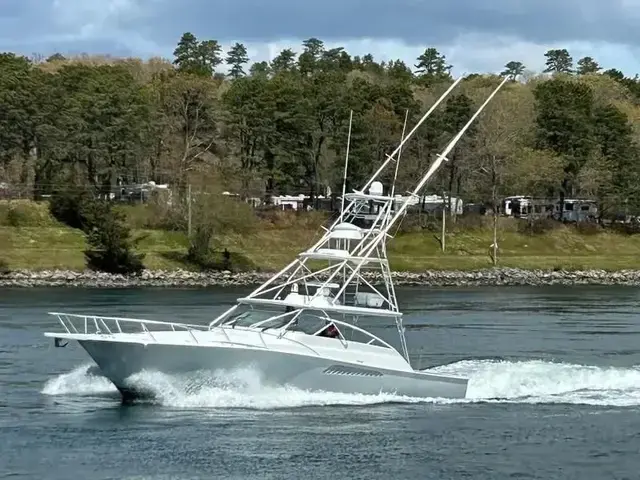 Viking 45 Open Express