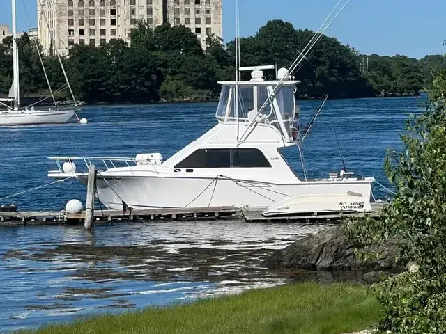 Cabo 35 Flybridge