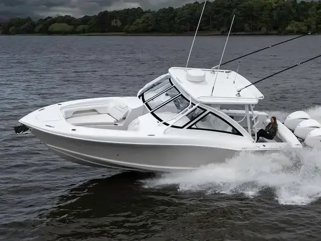 Albemarle 31 Dual Console