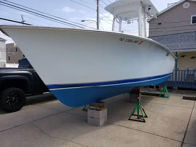 Silverhawk 24