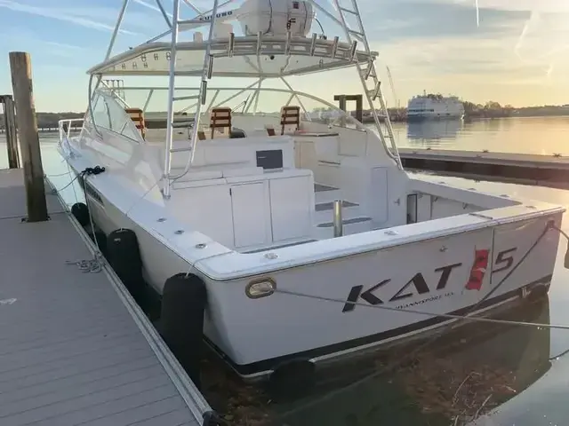 Viking 45 Open Express