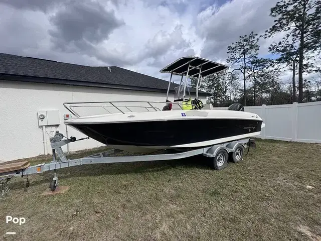 Bayliner Element F21