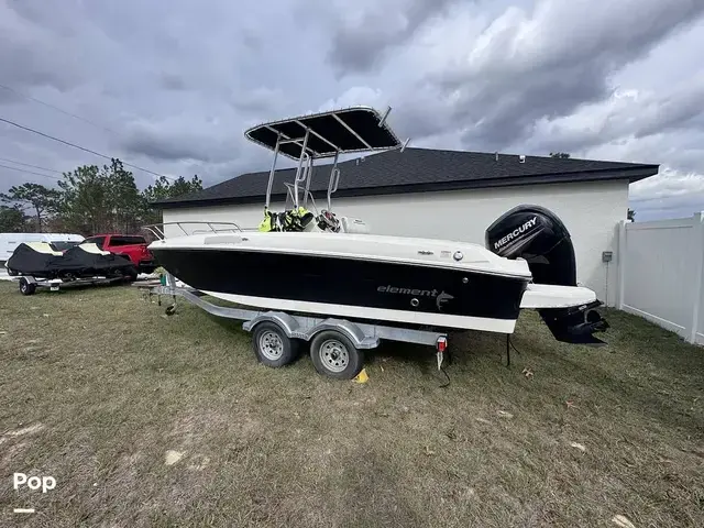 Bayliner Element F21