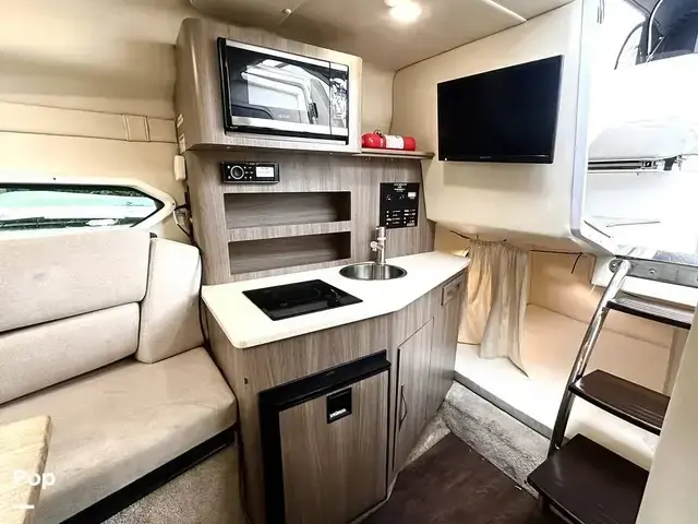 Regal Xo 26