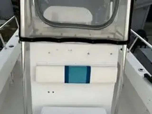 Twin Vee 22 Ocean Cat