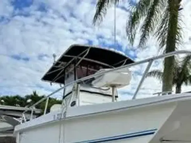 Twin Vee 22 Ocean Cat