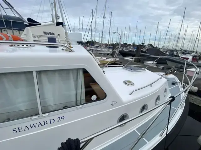 Seaward 29