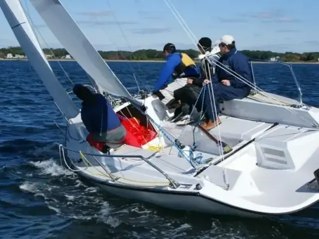 Colgate 26