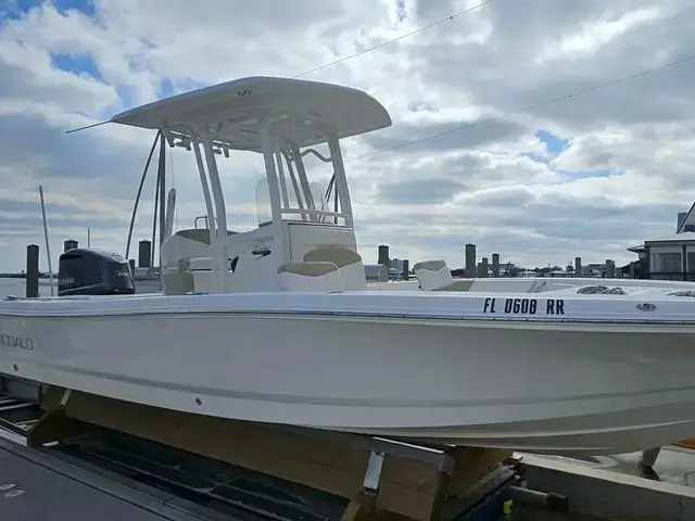 Robalo 246 Cayman