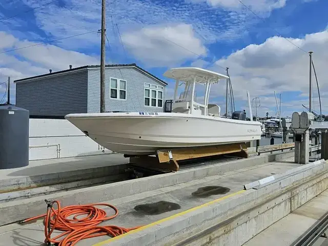 Robalo 246 Cayman