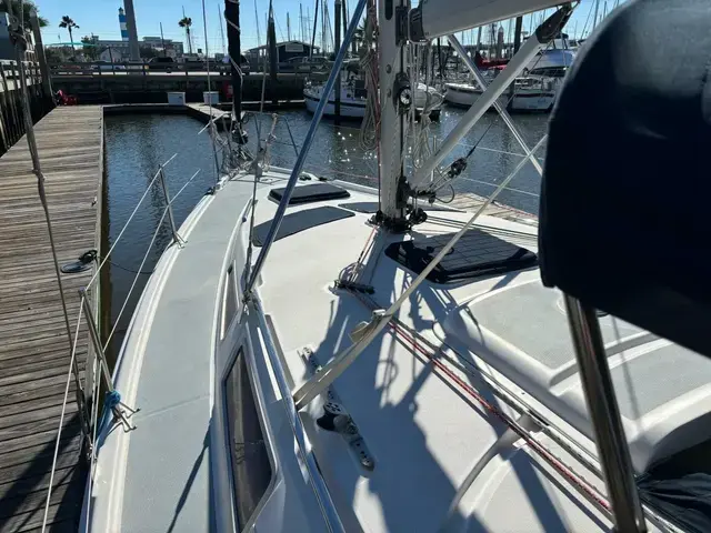 Hunter 36