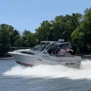 1988 Sea Ray 340 Express Cruiser