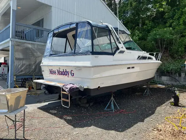 Sea Ray 340 Express Cruiser