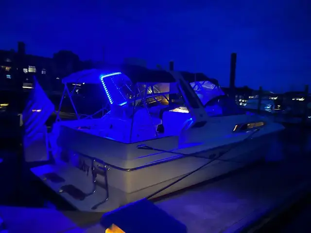 Sea Ray 340 Express Cruiser