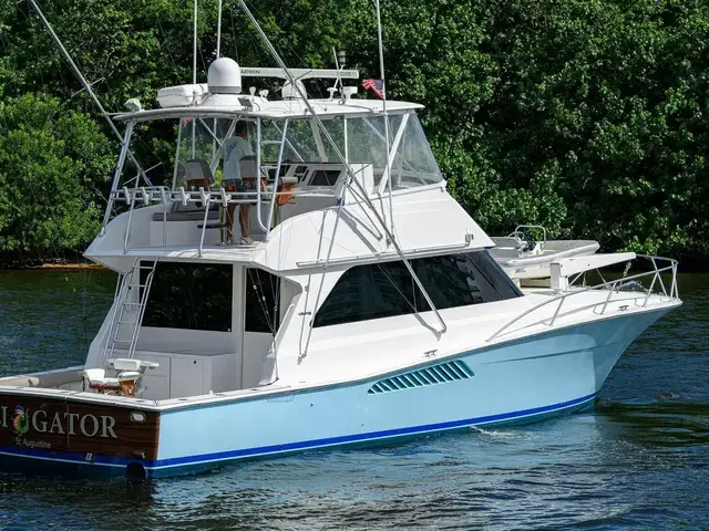 Viking 50 Convertible