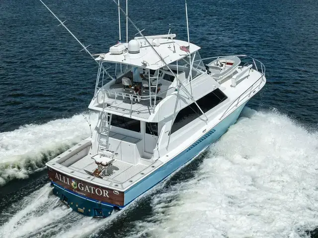 Viking 50 Convertible