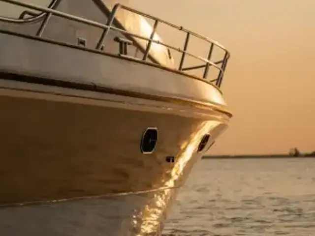 Elegance 54