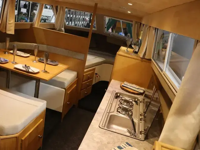 Viking 26 Golden Crown Edition