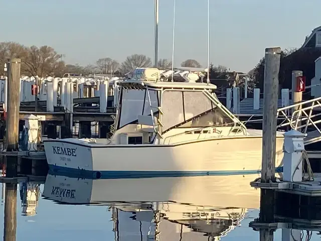 Carolina Skiff 28