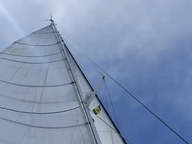 Catana 55