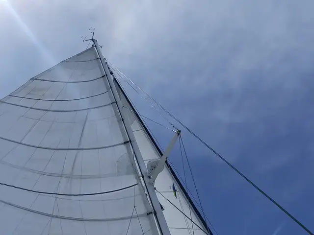 Catana 55