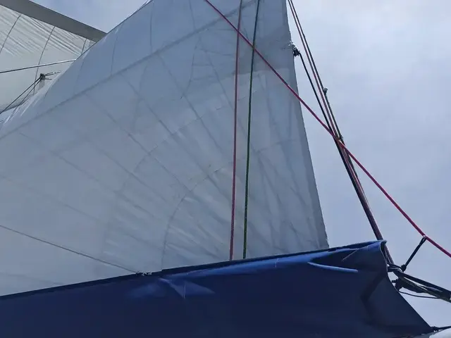 Catana 55