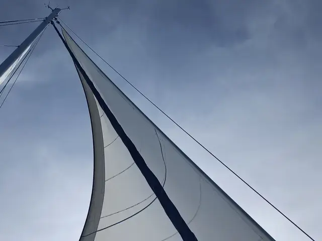 Catana 55