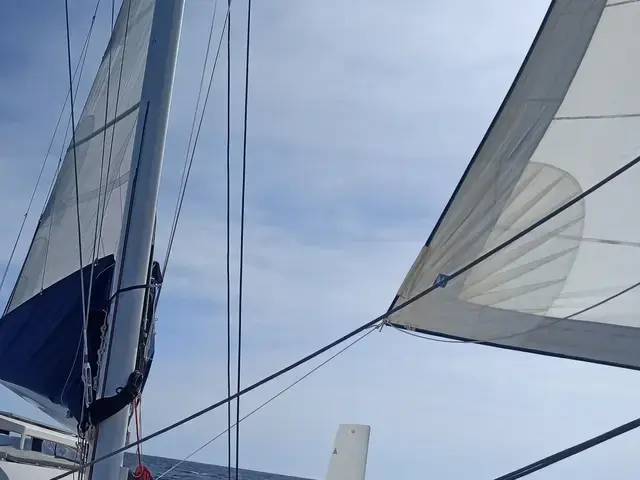 Catana 55