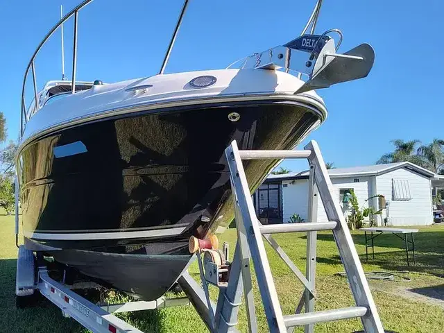 Sea Ray 270 Amberjack