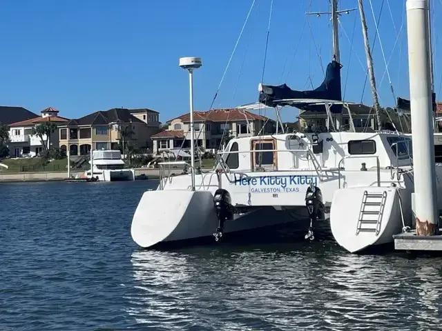 CATAMARAN Custom