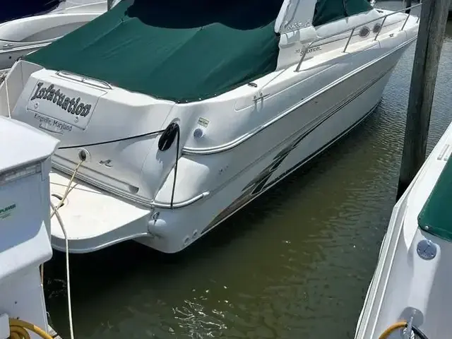 Sea Ray 31 DA