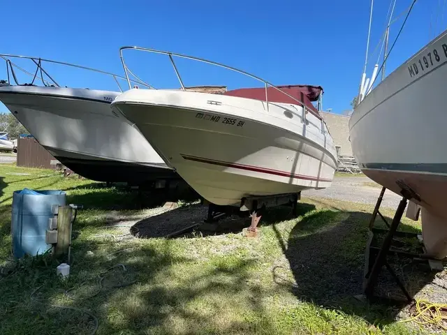 Sea Ray Sundancer 240