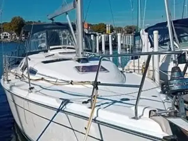 Hunter 38