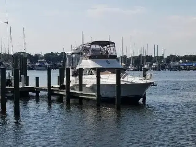 Silverton Aft Cabin Motor Yacht