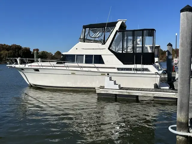 Silverton AFT CABIN