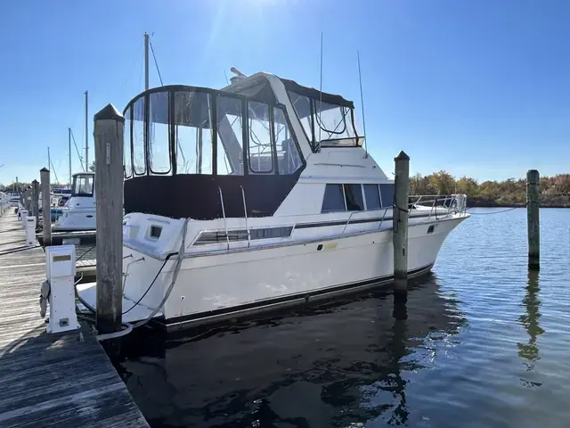 Silverton AFT CABIN