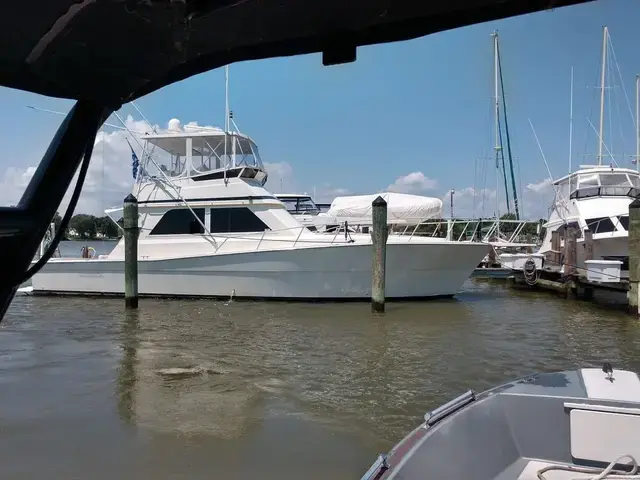 Viking 45 Sport Fish