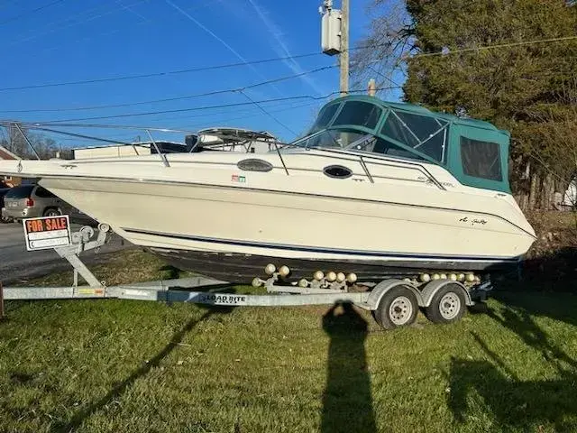 Sea Ray Sundancer